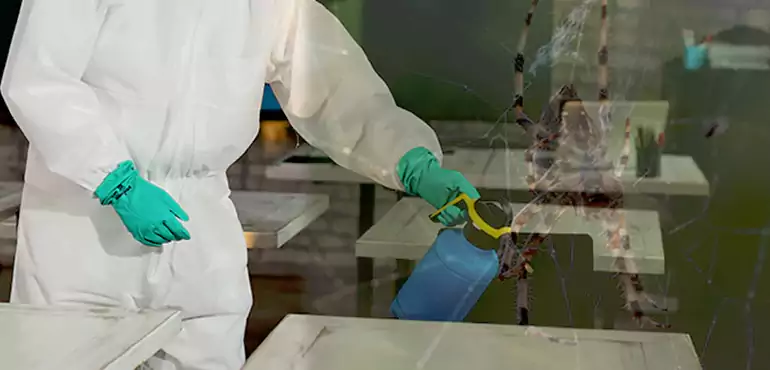 Why Buyers Still Want Homes With Pest Infestations in Metairie, LA?
