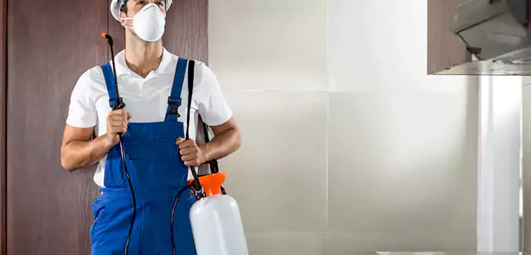 Why Metairie Homeowners Choose Us When Pests Make Selling Difficult